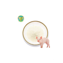 Feed Additive Supplier Livestock And Poultry Lactobacillus Probiotic Powder